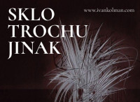 img 1768582943 1 (1)